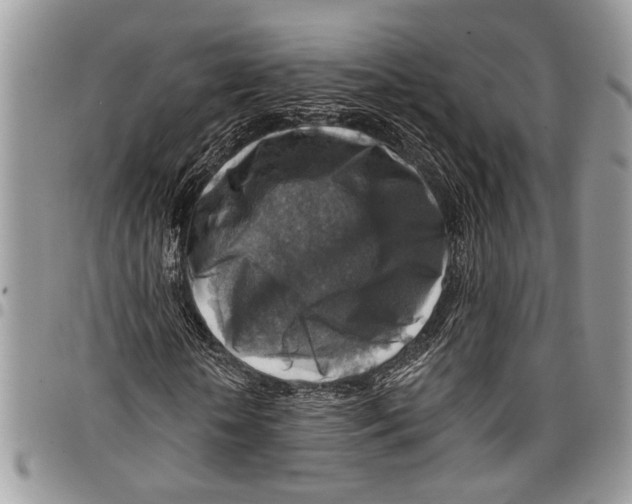 X0000097770818200803281638