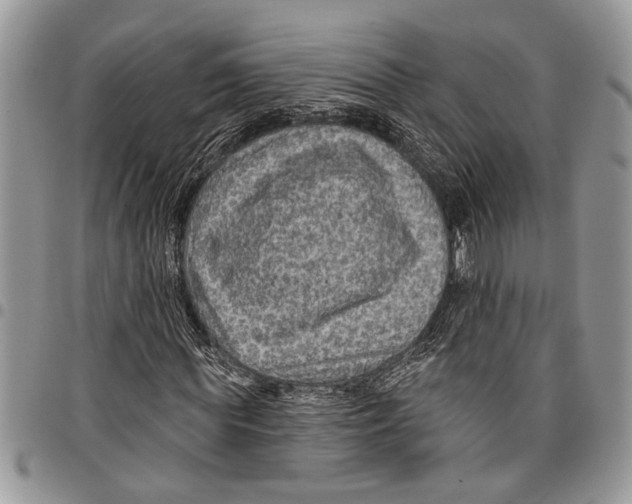 X0000097770819200803281638