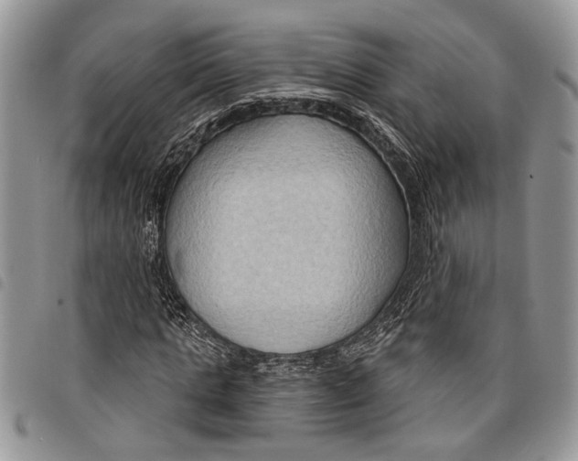 X0000097770821200803281638