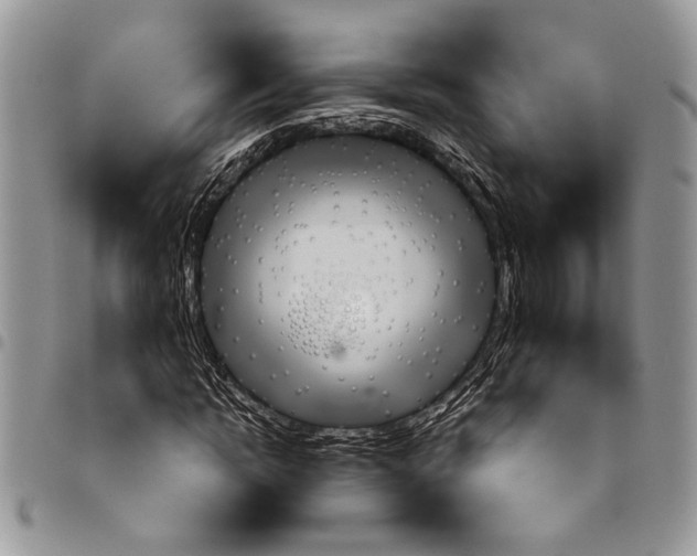 X0000097770822200803281638