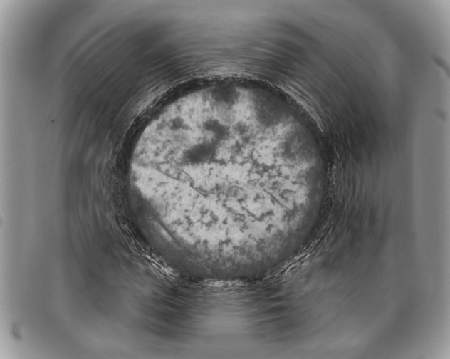 X0000097770823200803281638