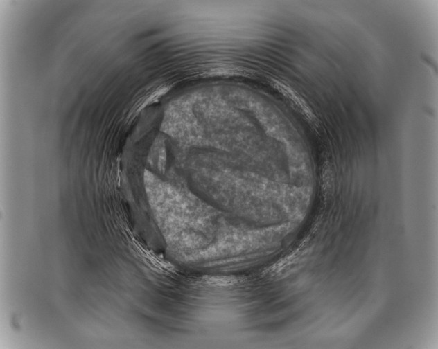 X0000097770825200803281638