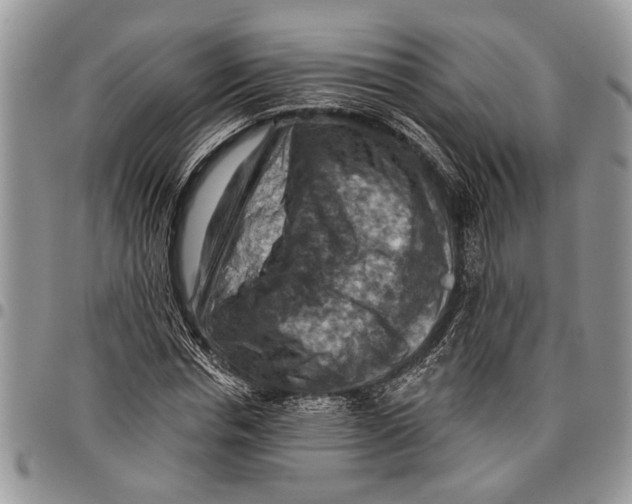 X0000097770826200803281638