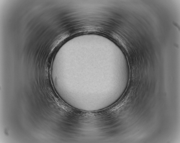 X0000097770827200803281638