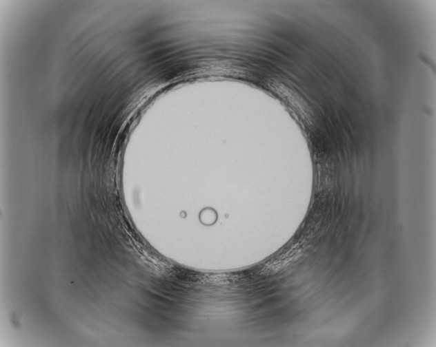 X0000097770828200803281638