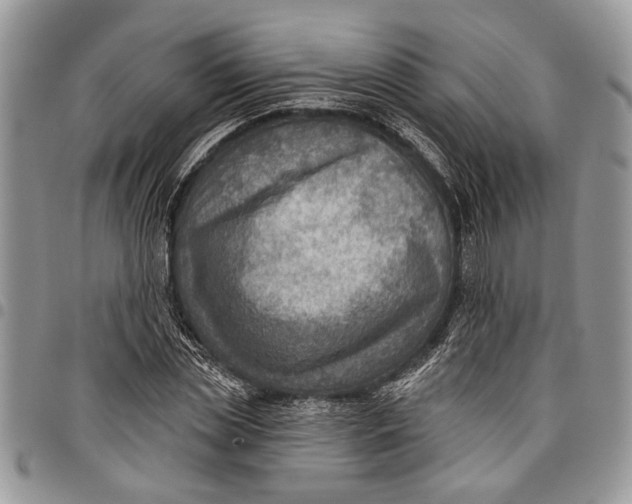 X0000097770829200803281638