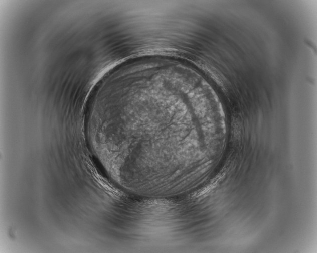 X0000097770830200803281638