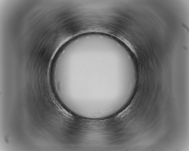 X0000097770832200803281638