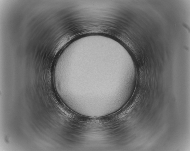 X0000097770834200803281638