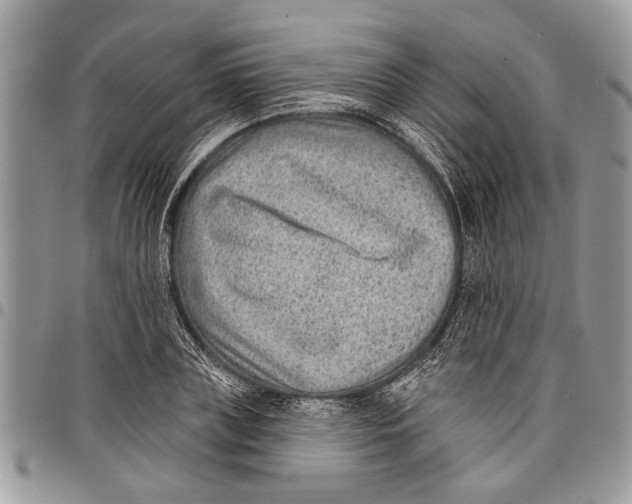 X0000097770835200803281638