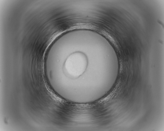 X0000097770836200803281638