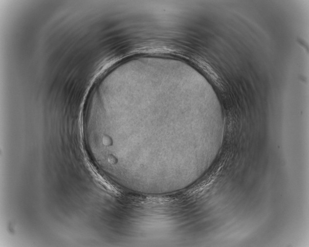 X0000097770840200803281638