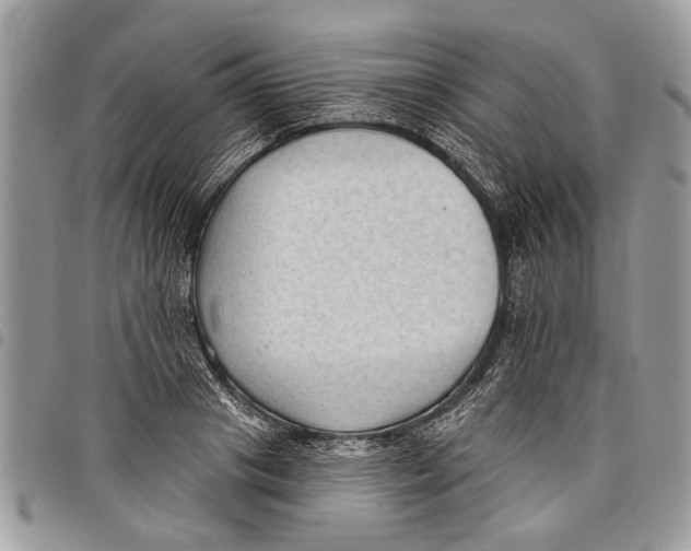 X0000097770841200803281638