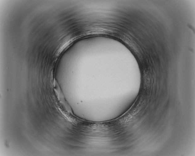 X0000097770842200803281638