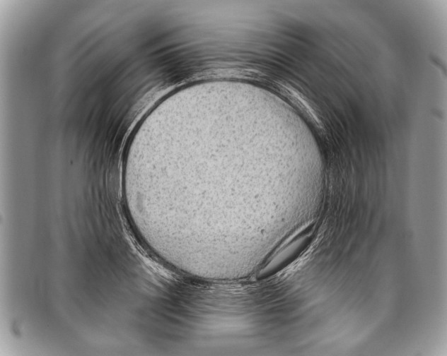 X0000097770844200803281638