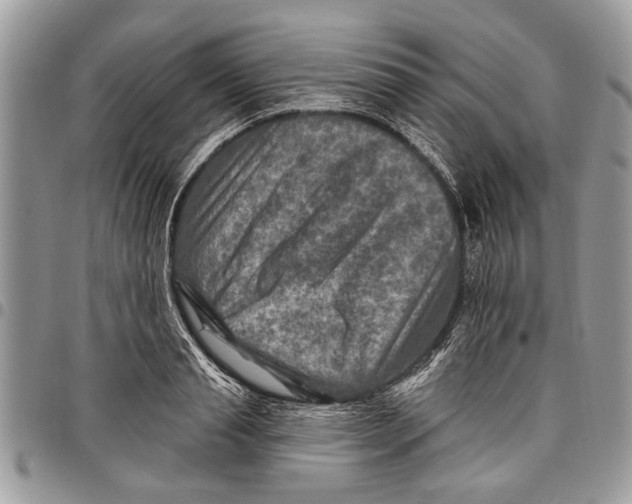 X0000097770845200803281638