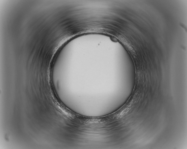 X0000097770846200803281638