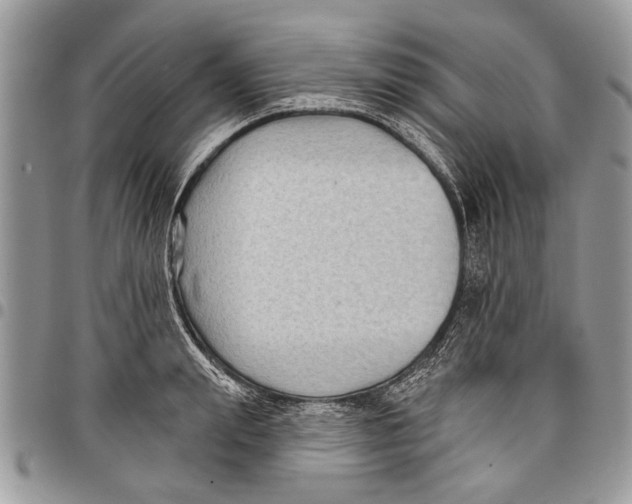 X0000097770847200803281638