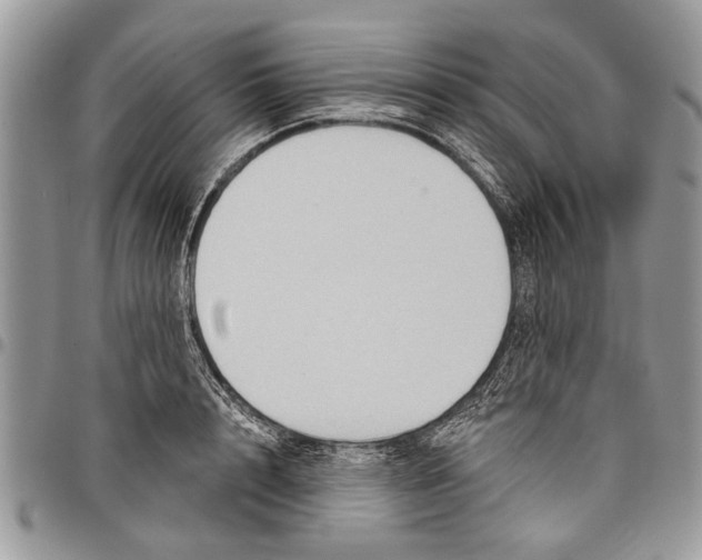 X0000097770848200803281638