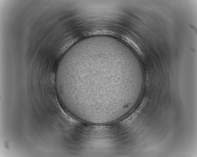 X0000097770849200803281638