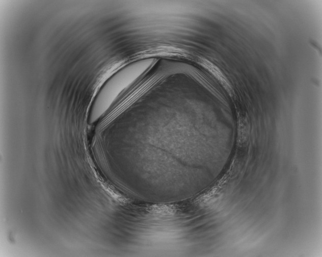 X0000097770850200803281638