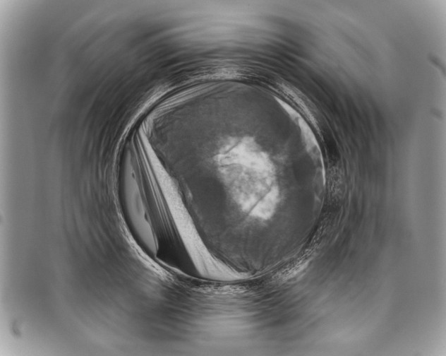 X0000097770851200803281638