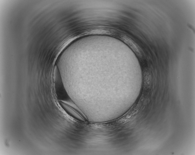 X0000097770852200803281638