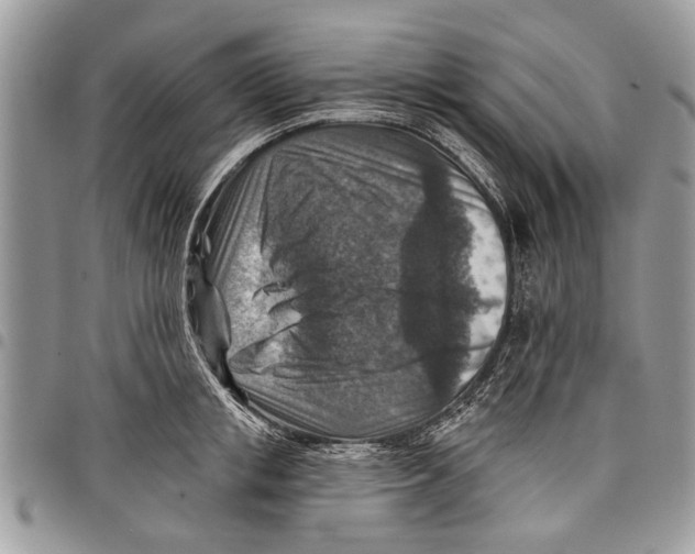 X0000097770853200803281638