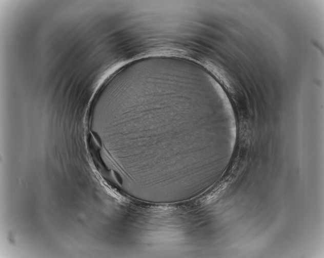 X0000097770854200803281638