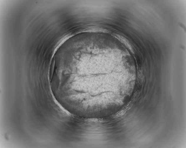 X0000097770855200803281638