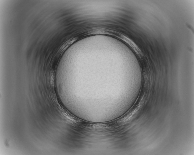 X0000097770857200803281638