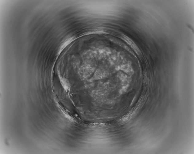 X0000097770858200803281638