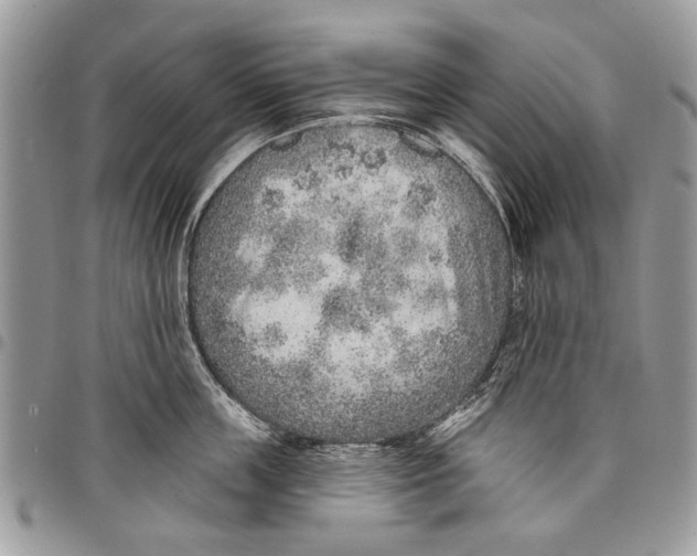 X0000097770859200803281638