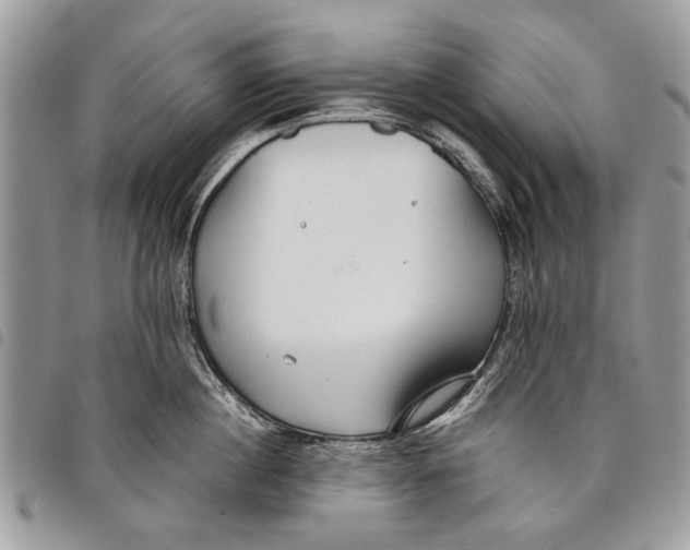 X0000097770860200803281638