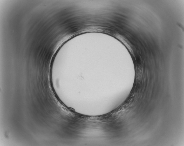 X0000097770861200803281638