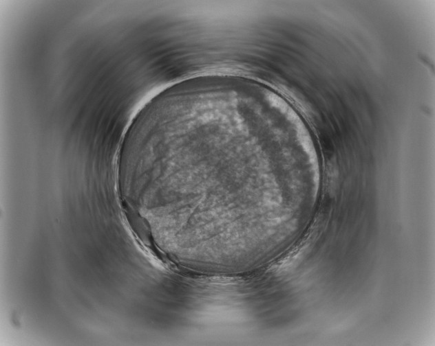 X0000097770862200803281638