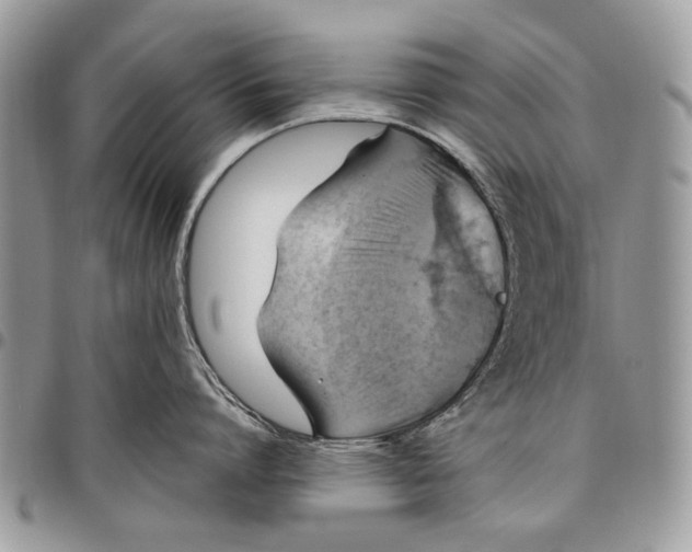 X0000097770864200803281638