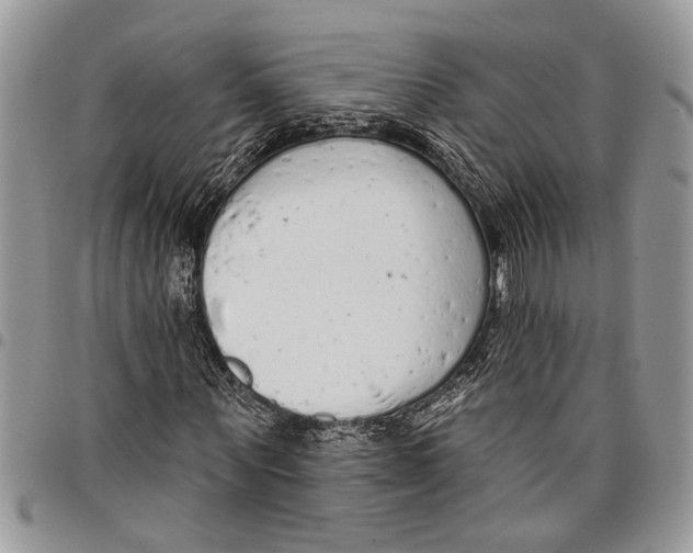 X0000097770867200803281638