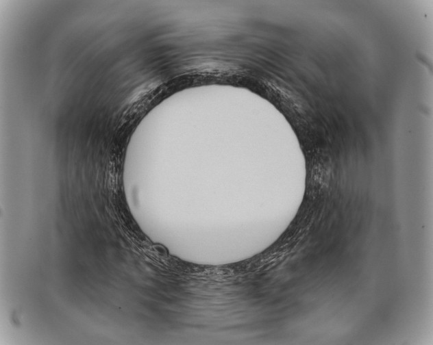 X0000097770869200803281638