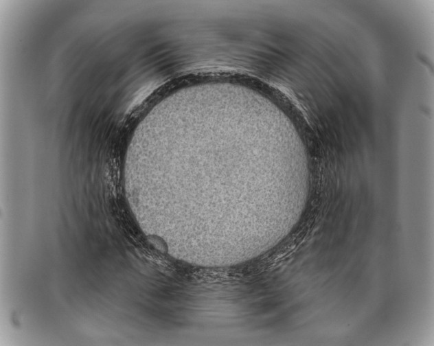 X0000097770871200803281638