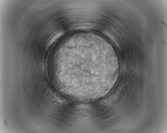 X0000097770874200803281638