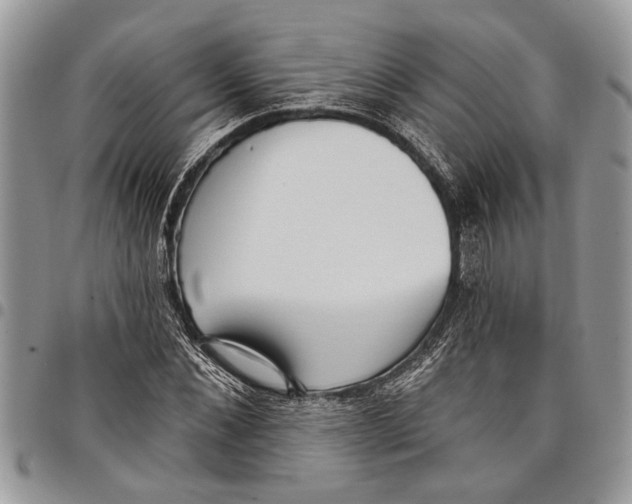 X0000097770876200803281638