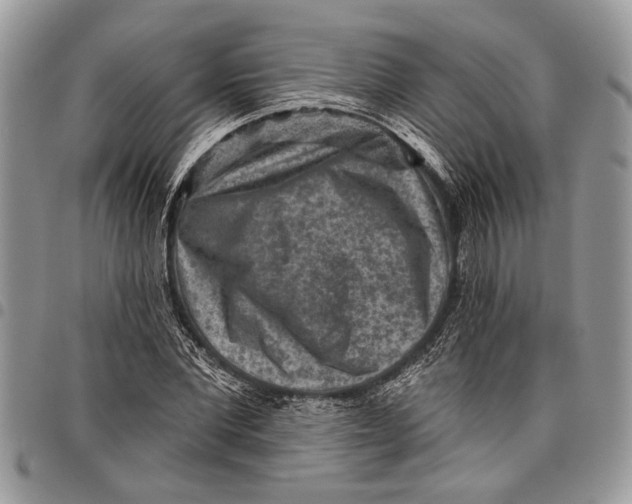 X0000097770877200803281638