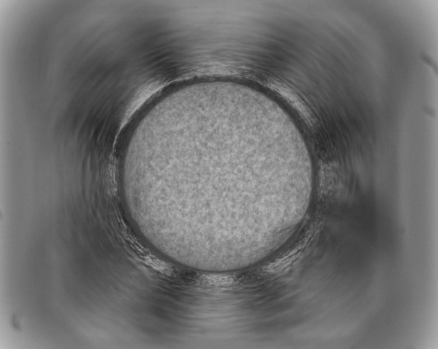 X0000097770878200803281638