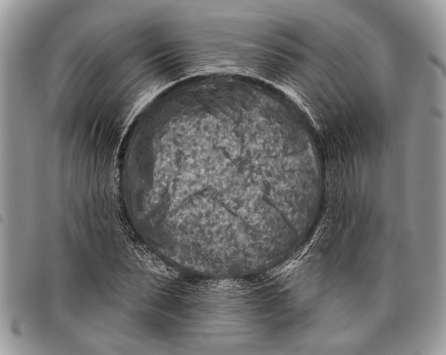 X0000097770879200803281638