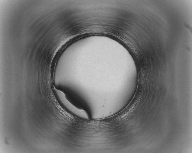 X0000097770880200803281638