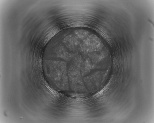 X0000097770881200803281638