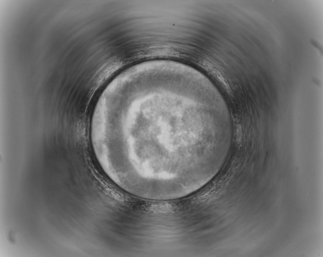 X0000097770882200803281638