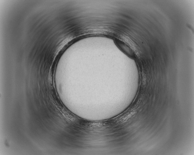 X0000097770883200803281638