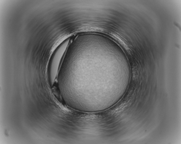 X0000097770885200803281637